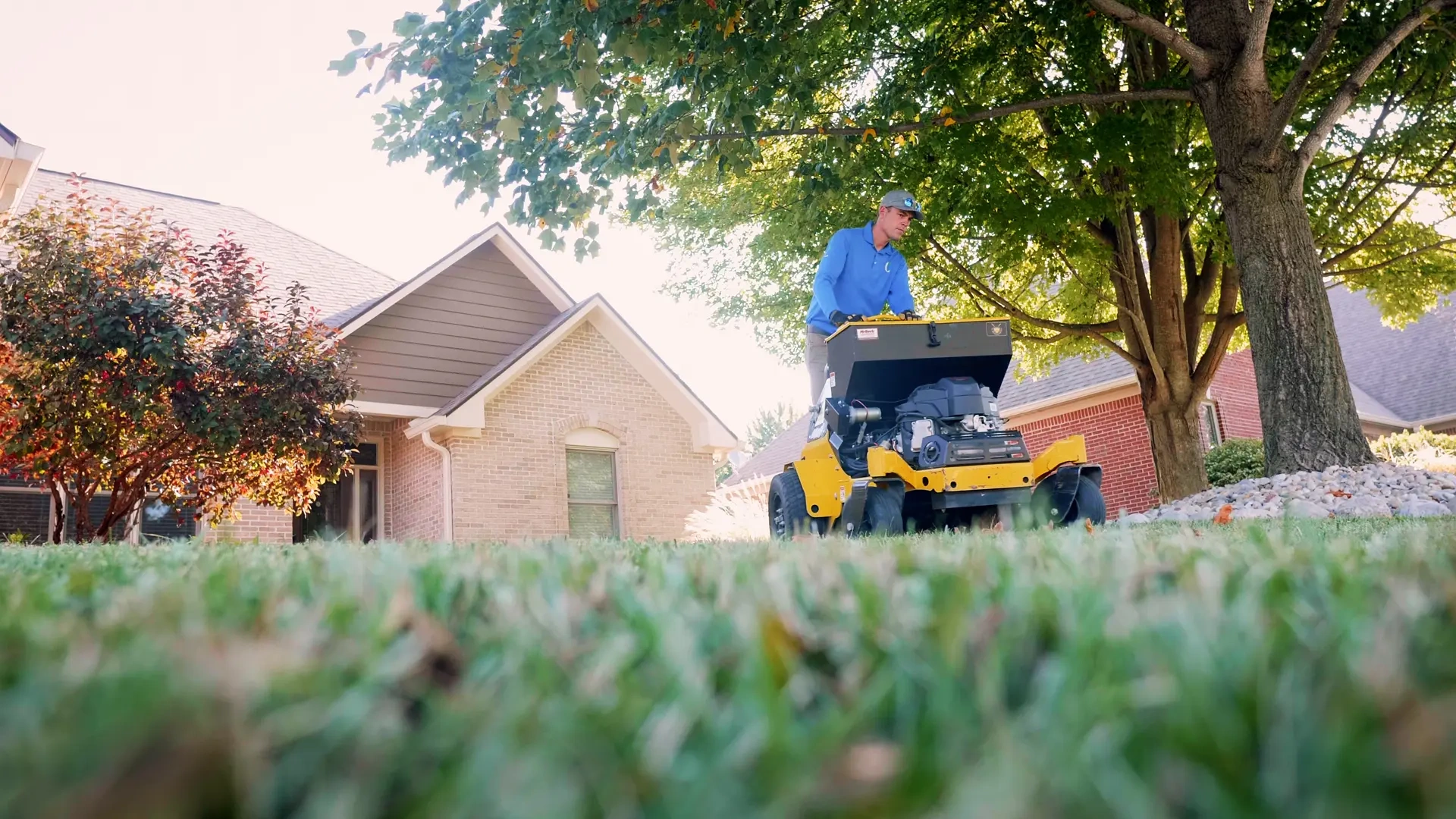 wordpress-website-development-certified-lawns-bg-1920x1080